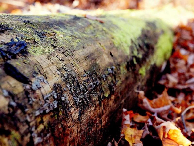 sudoku techniques screenshot 5